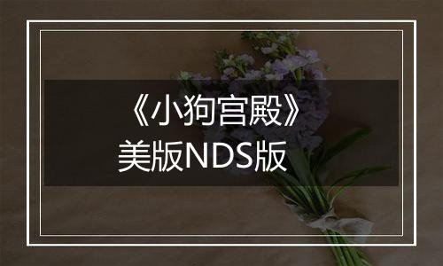 《小狗宫殿》 美版NDS版