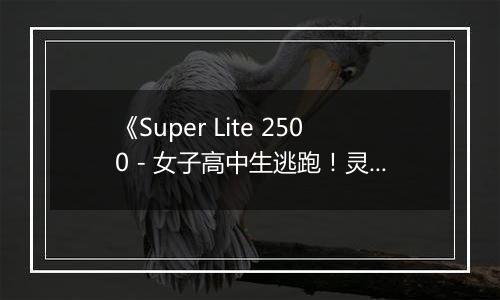 《Super Lite 2500 - 女子高中生逃跑！灵异解谜学园》 日版NDS版