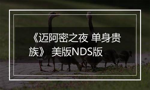 《迈阿密之夜 单身贵族》 美版NDS版