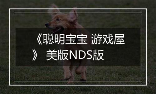 《聪明宝宝 游戏屋》 美版NDS版