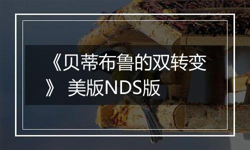 《贝蒂布鲁的双转变》 美版NDS版