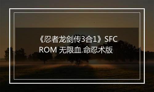 《忍者龙剑传3合1》SFC ROM 无限血.命忍术版