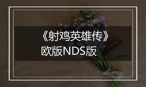 《射鸡英雄传》 欧版NDS版