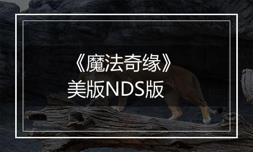 《魔法奇缘》 美版NDS版