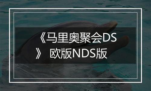 《马里奥聚会DS》 欧版NDS版