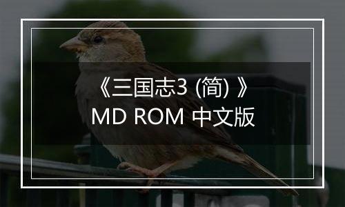 《三国志3 (简) 》MD ROM 中文版