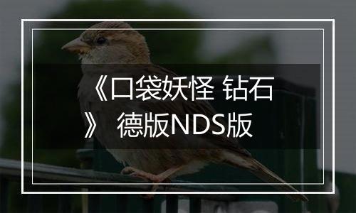 《口袋妖怪 钻石》 德版NDS版