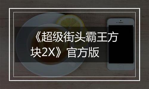《超级街头霸王方块2X》官方版