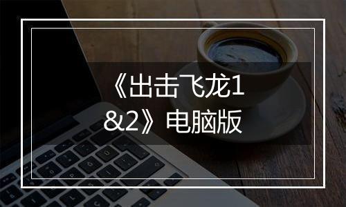 《出击飞龙1&2》电脑版