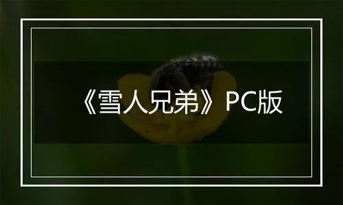 《雪人兄弟》PC版