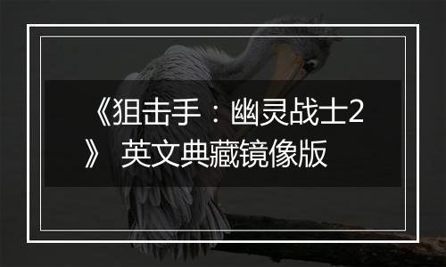 《狙击手：幽灵战士2》 英文典藏镜像版