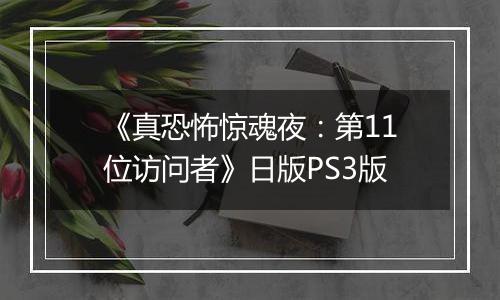 《真恐怖惊魂夜：第11位访问者》日版PS3版