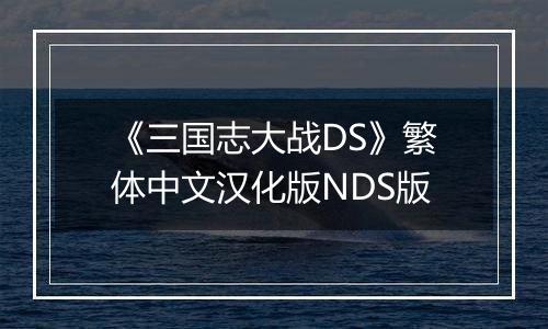 《三国志大战DS》繁体中文汉化版NDS版