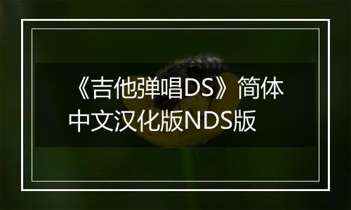 《吉他弹唱DS》简体中文汉化版NDS版