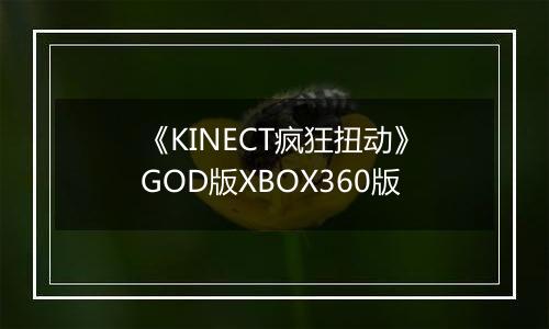《KINECT疯狂扭动》GOD版XBOX360版