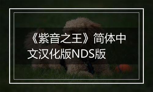 《紫音之王》简体中文汉化版NDS版