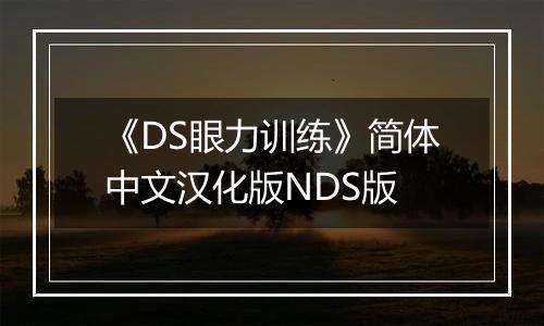 《DS眼力训练》简体中文汉化版NDS版
