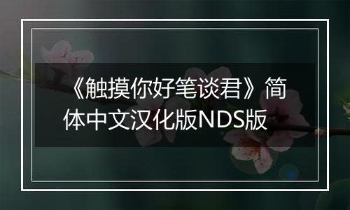 《触摸你好笔谈君》简体中文汉化版NDS版