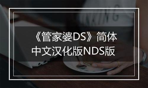 《管家婆DS》简体中文汉化版NDS版