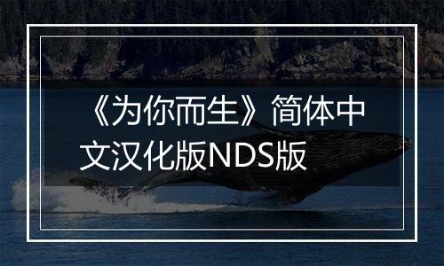 《为你而生》简体中文汉化版NDS版