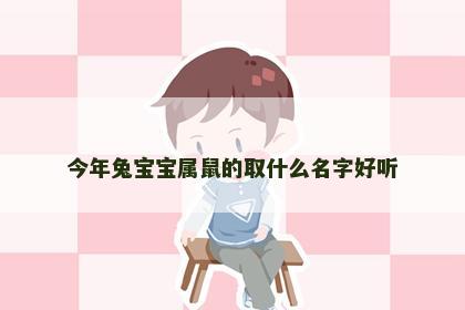 今年兔宝宝属鼠的取什么名字好听