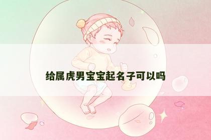 给属虎男宝宝起名子可以吗