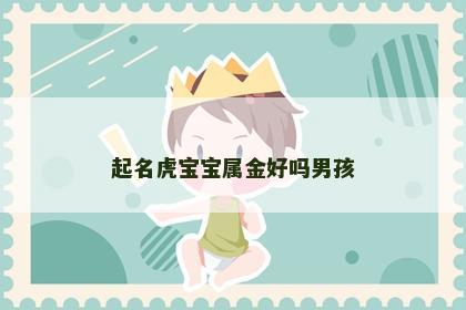 起名虎宝宝属金好吗男孩