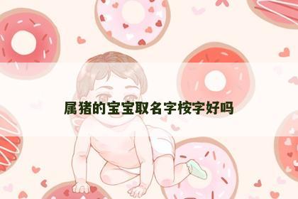 属猪的宝宝取名字桉字好吗