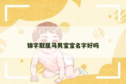 锦字取属马男宝宝名字好吗