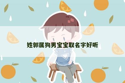 姓郭属狗男宝宝取名字好听