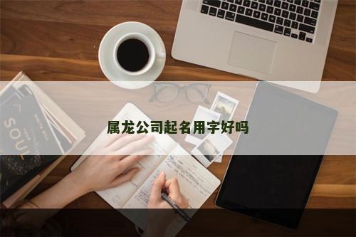 属龙公司起名用字好吗