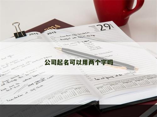 公司起名可以用两个字吗
