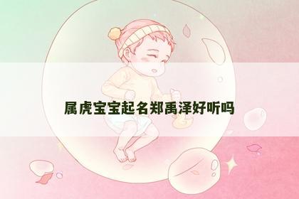 属虎宝宝起名郑禹泽好听吗