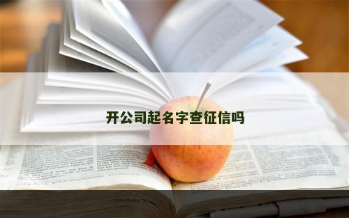 开公司起名字查征信吗