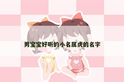 男宝宝好听的小名属虎的名字