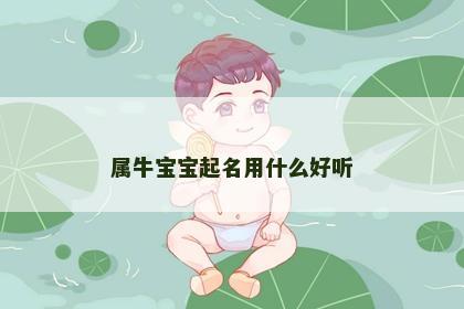 属牛宝宝起名用什么好听