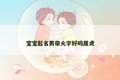 宝宝起名男带火字好吗属虎