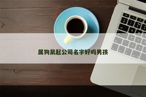 属狗鼠起公司名字好吗男孩