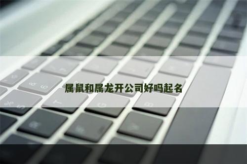属鼠和属龙开公司好吗起名