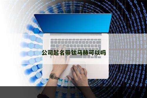 公司起名带钛马赫可以吗