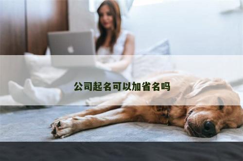 公司起名可以加省名吗