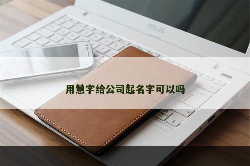 用慧字给公司起名字可以吗