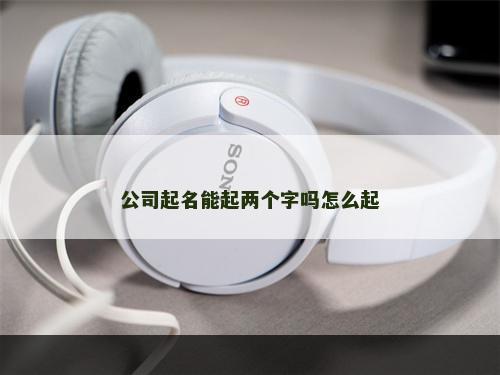 公司起名能起两个字吗怎么起