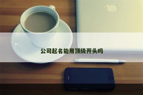 公司起名能用顶级开头吗