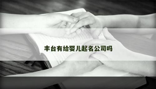丰台有给婴儿起名公司吗