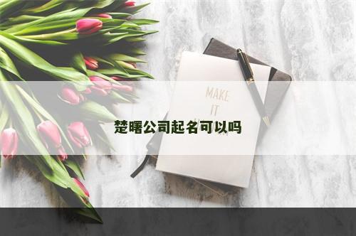 楚曙公司起名可以吗
