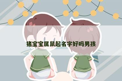 猪宝宝属鼠起名字好吗男孩