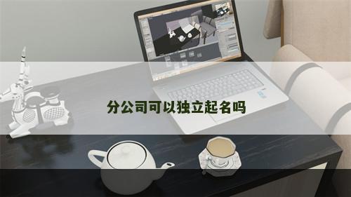 分公司可以独立起名吗
