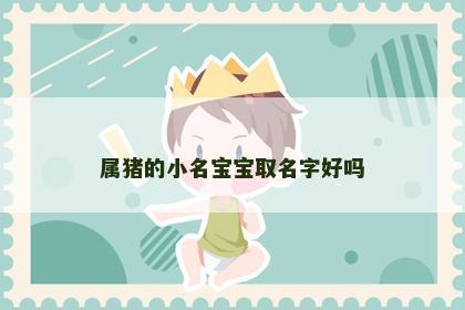 属猪的小名宝宝取名字好吗