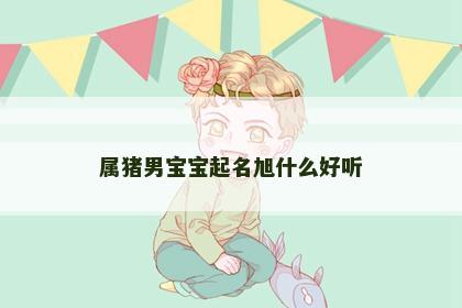 属猪男宝宝起名旭什么好听